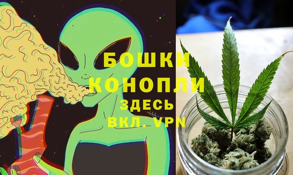 экстази Богданович